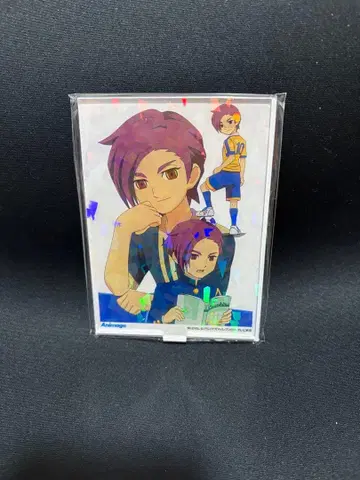 이나즈마 일레븐 GO 애니메이쥬 홀로 아크릴 스탠드 미나자와 아츠시
