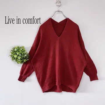 LIVEIN comfort [ M ] V넥 니트 돌먼 슬리브 실크 혼방