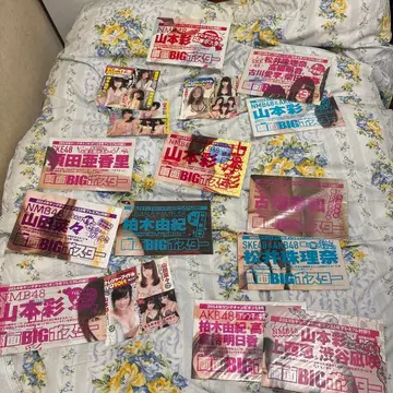 AKB48 SKE48 NMB48 양면 BIG 포스터 DVD 묶음 판매