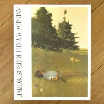 앤드루 와이어스 전 도록 1995 아이치현 미술관