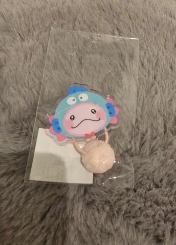 사토 다이키 우파고로 한교동 머리끈