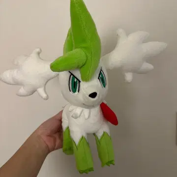 포켓몬 쉐이미 봉제 인형