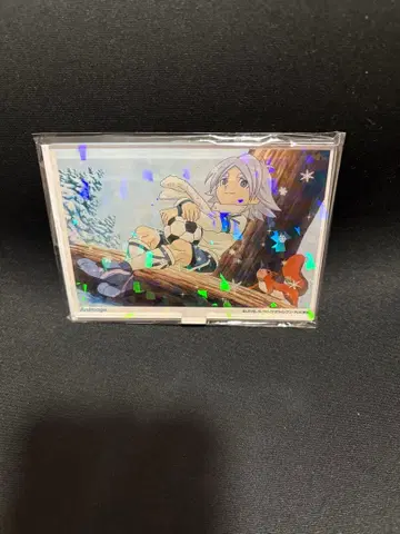 이나즈마 일레븐 아니메쥬 호로 아크릴 스탠드 후부키 시로