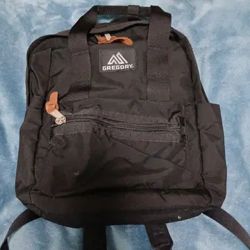 GREGORY 이지데이 xs