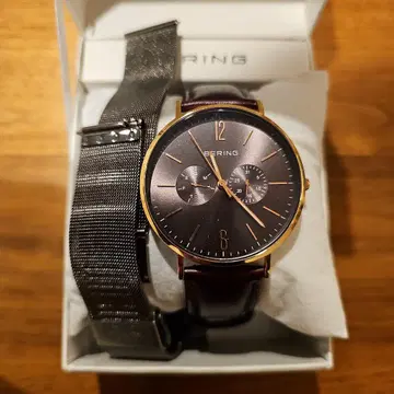 BERING 시계
