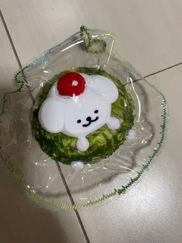 해외 스퀴즈 몰치즈 퍼피