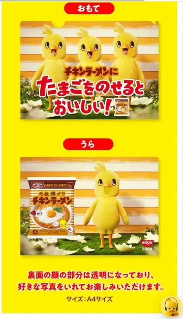 치킨라면 클리어 파일 2장 세트 이노마타 하시모토 시노즈카