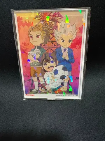 이나즈마 일레븐 애니메지움 호로 아크릴 스탠드 9-B