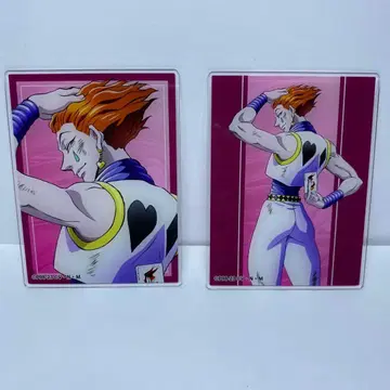 HUNTER x HUNTER 헌터헌터 싸우는 등 아크릴 카드 히소카 2점