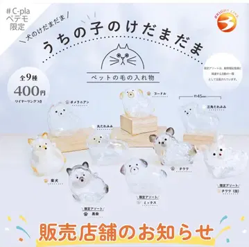 우리 아이 털뭉치 치와와 2세트