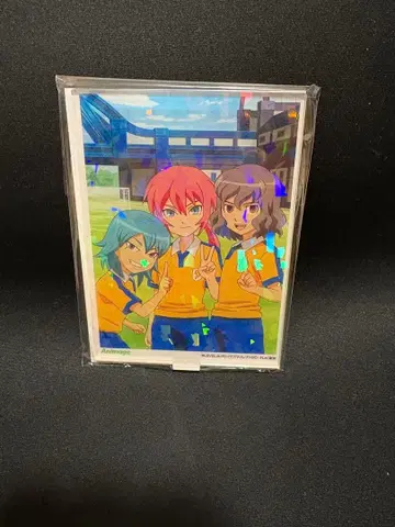 이나즈마 일레븐 GO 애니메이트 호로 아크릴 스탠드 2-E