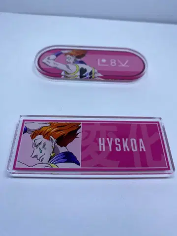 HUNTER x HUNTER 히소카 아크릴 배지 싸우는 등 2개