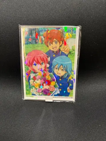 이나즈마 일레븐 GO 애니메이지 호로 아크릴 스탠드 2-D