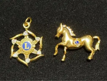 라이온스 클럽: 핀 배지와 펜던트 탑