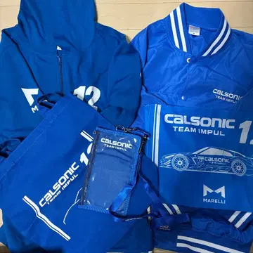 칼소닉 팀 임펄