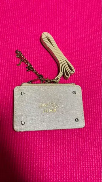 Hey! Say! JUMP 패스 케이스 [ 한정판 ] 그룹 사진 포함