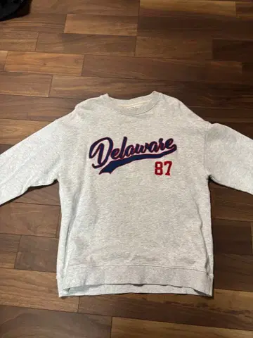 칼리지 스타일 스웨트 셔츠 Delaware 87 프린트 M 구제 의류