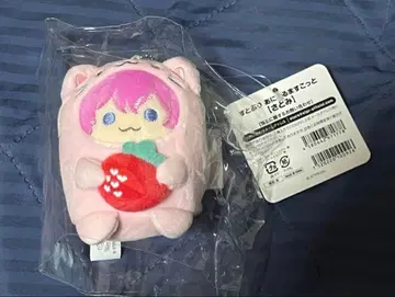 스토푸리 사토미군 애니멀 마스코트