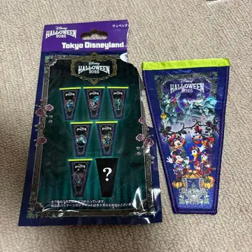 디즈니 할로윈 2025 와펜 액세서리 시크릿