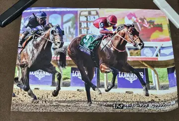 포에버 영 경마북 부록 BC 클래식 포스터