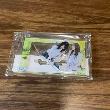 카드 케이스 포함 아크릴 스탠드 아야히로 사이카짱은 카토 시호 모리칸나