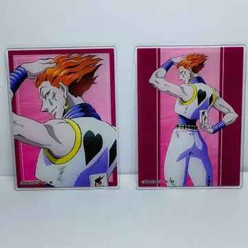 HUNTER x HUNTER 헌터헌터 싸우는 등 아크릴 카드 히소카 2점