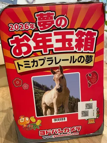 2026년 토미카 프라레일 꿈의 세뱃돈 상자