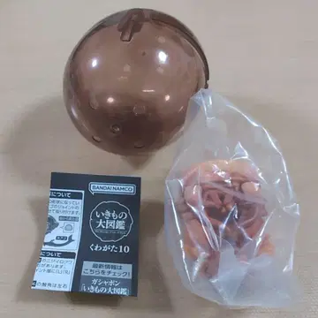 반다이 남코 생물대도감 장수풍뎅이 10