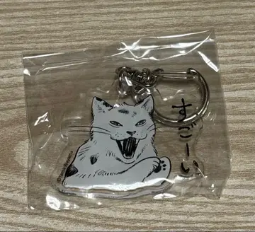 가라오케 가자! 패밀리 레스토랑 가자. 아크릴 참 고양이 고양이 패닉