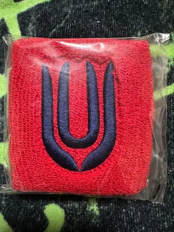 UNISON SQUARE GARDEN 리스트 밴드