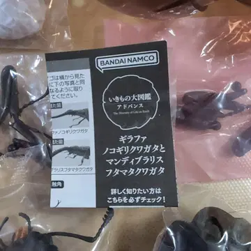 생물대도감 기라파사슴벌레 (케이스케이)