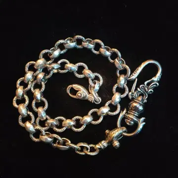 레나드 카무호트 타입 지갑 체인