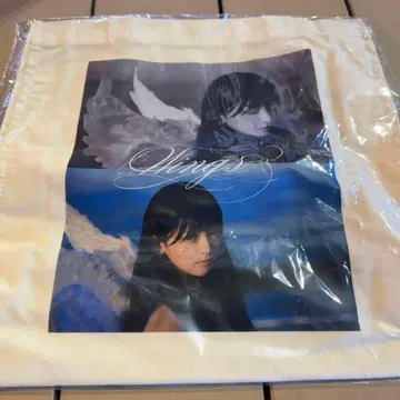 노기자카46 이케다 에레나 개인전 오리의 꿈 토트백 n