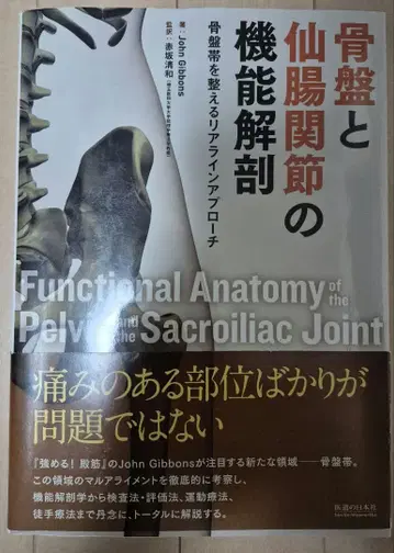 골반과 천장관절의 기능 해부학 (비절단)