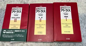 해부학 아틀라스 3권 세트