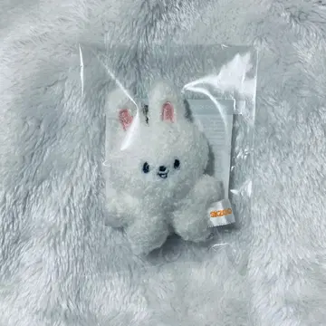 skzoo micro 마이크로 키링 리비트