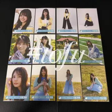 히나타자카46 코사카 나오 [ 부탁해 바흐! ] 브로마이드 12종 컴프