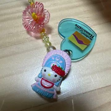 레어 지역 한정 키티 하와이안즈 한정판