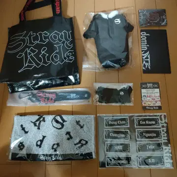 straykids 업그레이드 특전 굿즈 dominATE
