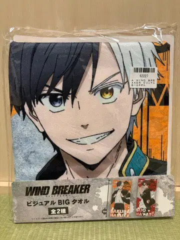 WIND BREAKER 비주얼 BIG 타월 120cm