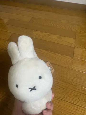 네덜란드 구매 미피 귀도리