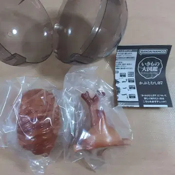 생물대도감 사슴벌레 07