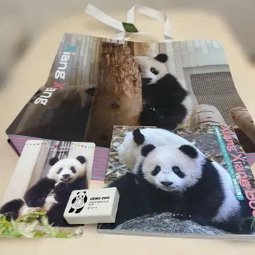우에노 동물원 팬더 서적 [샹샹의 성장 기록] 클립 엽서 백