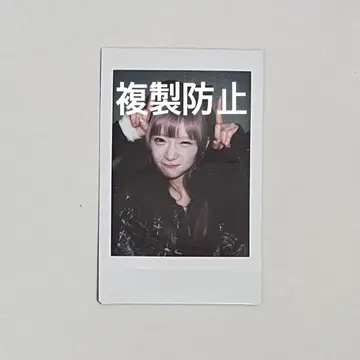 카네코 리에 폴라로이드