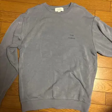True wisdom 그레이 트레이닝복