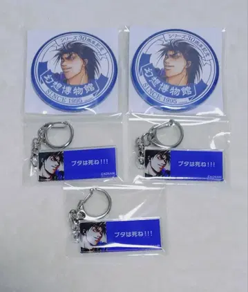 환상수호전 환수전 캔뱃지 대사 키링 루카 세트