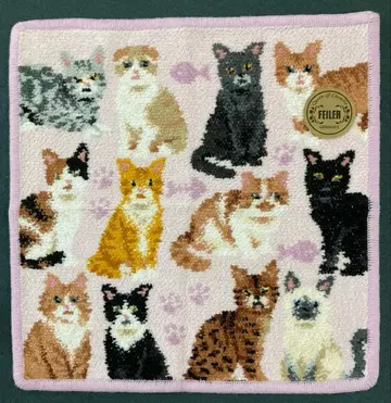 페이러 마이큐트키툰 손수건