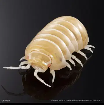 생물대도감 어드밴스 공벌레 알비노 공벌레 (온라인판 한정판 색상)