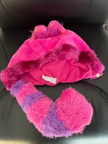 체셔캣 디즈니 팬캡