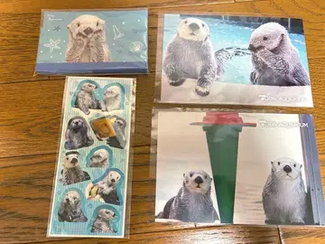 도바 수족관 랏코 굿즈 세트